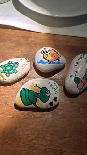 Customer photo review of Starterspakket Happy Stones + App om ze te volgen | Alles-in-1 | Stenen schilderen
