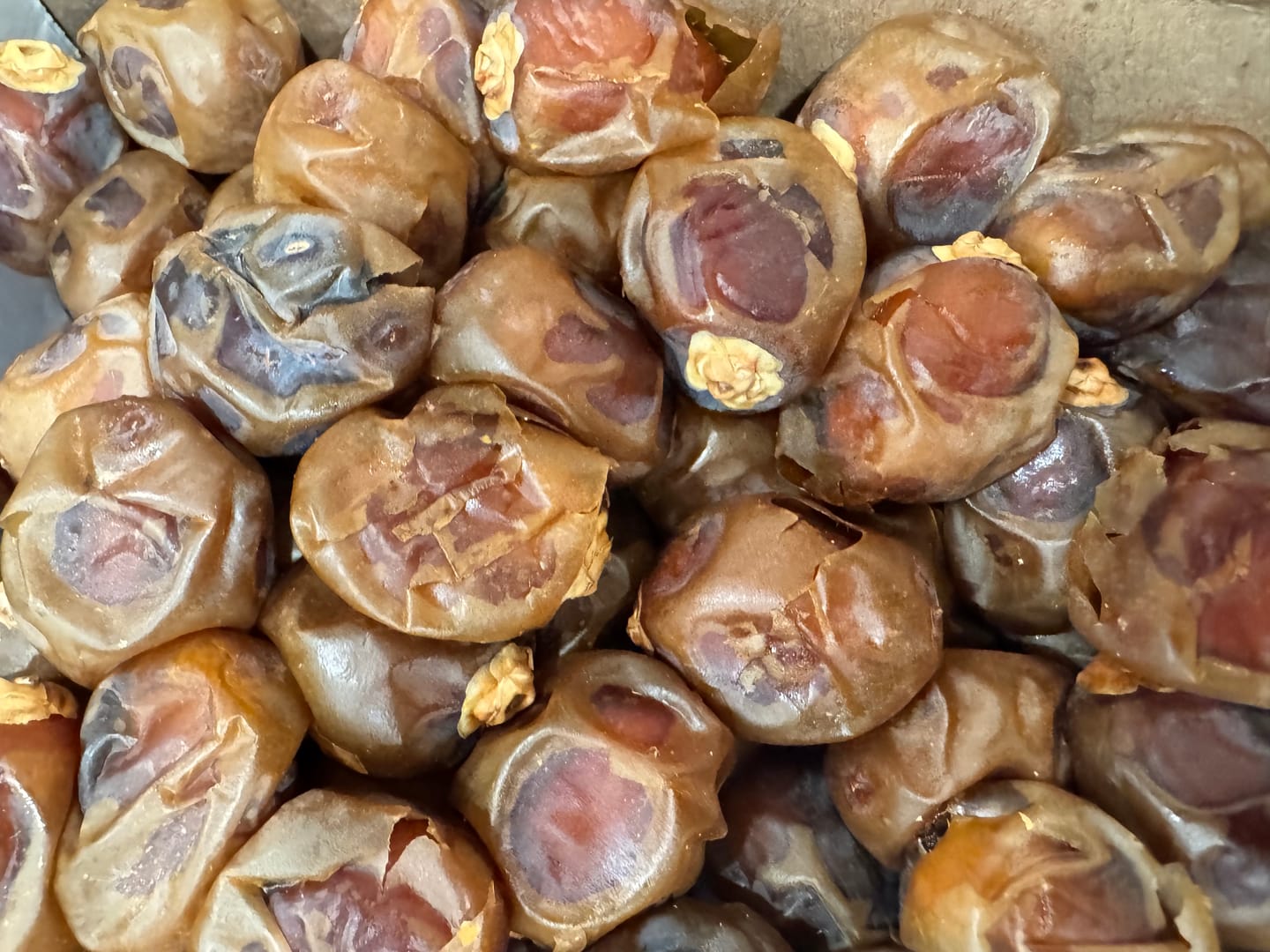 Customer photo review of Organic Barhi Dates Box