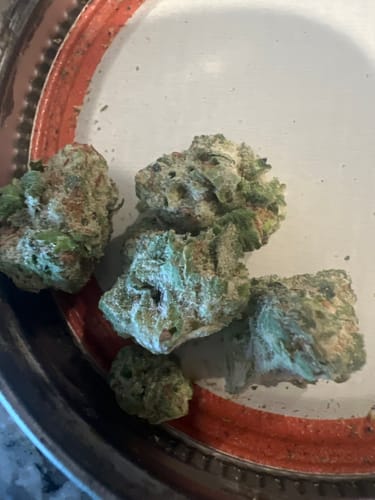 Customer photo review of Mango Dream Smalls