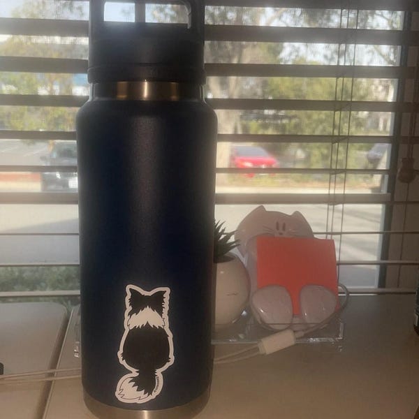 Customer photo review of Border Collie Behind Sticker