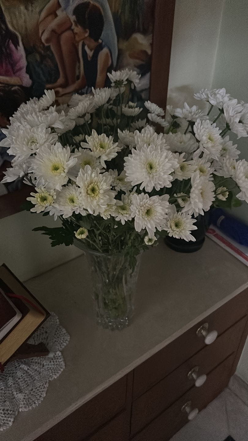 Customer photo review of Starry Night //Delhi