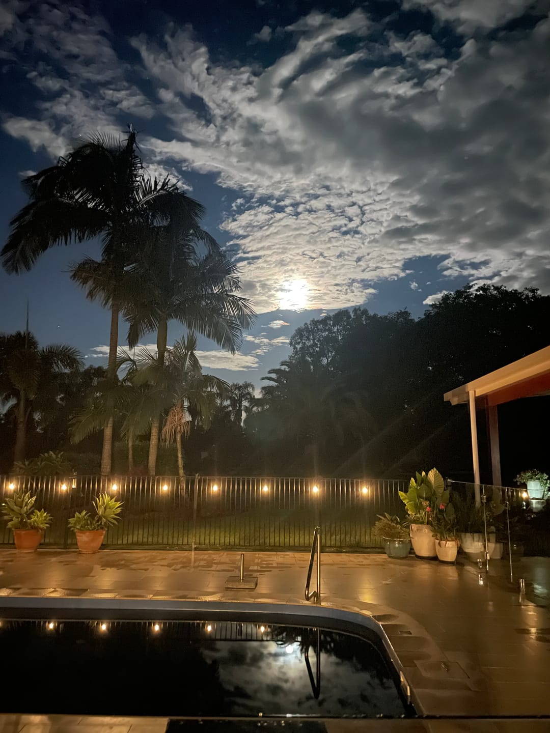 Customer photo review of Festoon Solar Lights (Series 2)