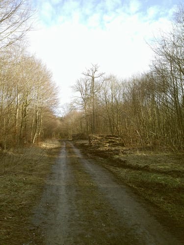 Customer photo review of Handschlaufe Schwarz