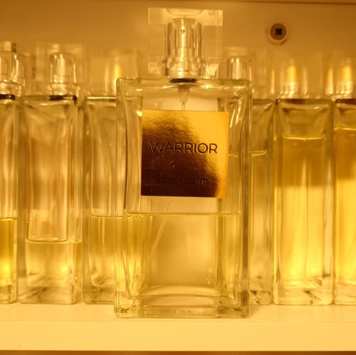 Customer photo review of Viking (Inspired) - Warrior