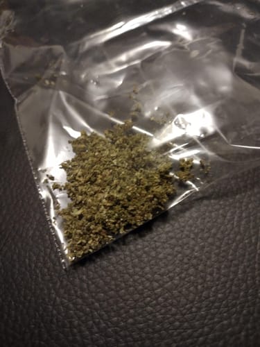 Customer photo review of Cali Fields THCA Premium Flower 3.5G  - Sour Diesel Sativa