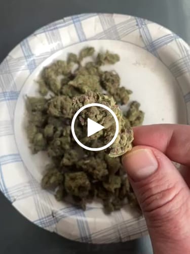 Customer video review of Super Boof