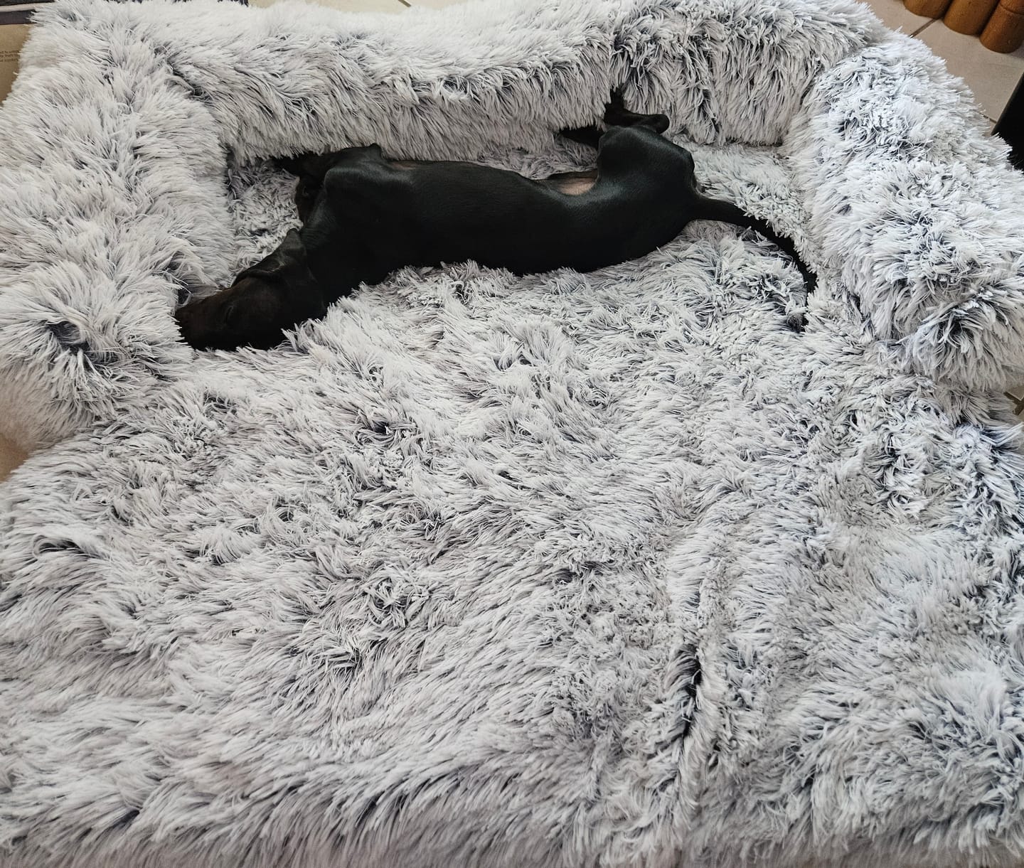 Customer photo review of Calming Sofa Bed