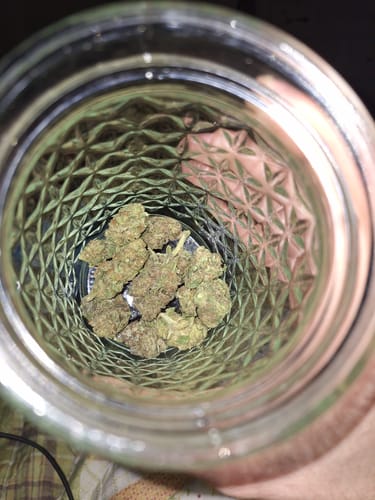 Customer photo review of Acapulco Gold