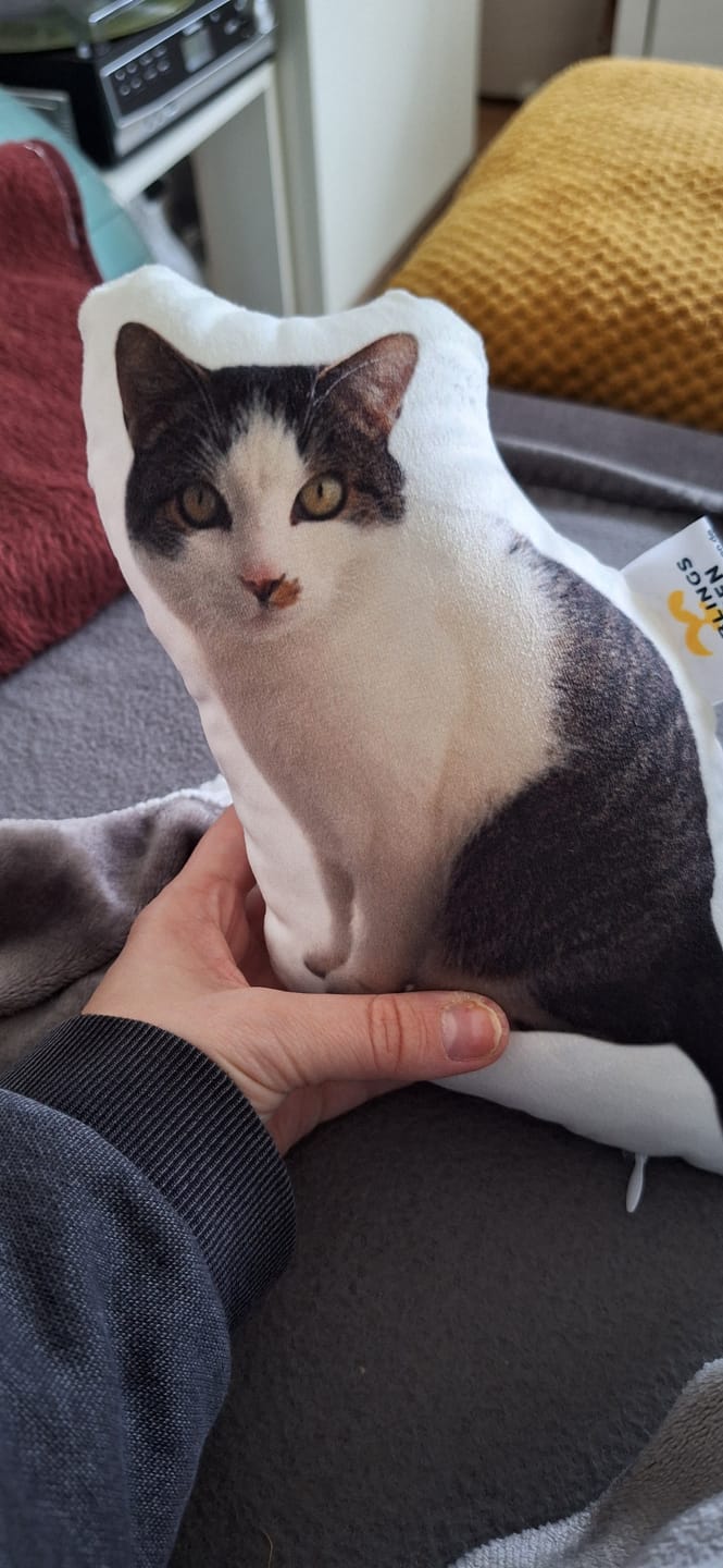 Customer photo review of Personalisiertes Katzenkissen