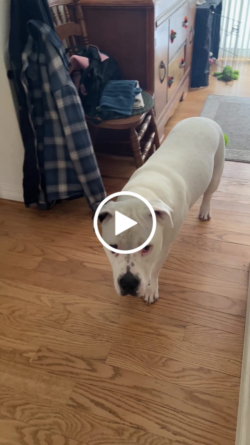 Customer video review of Speak Up Get Started Kit