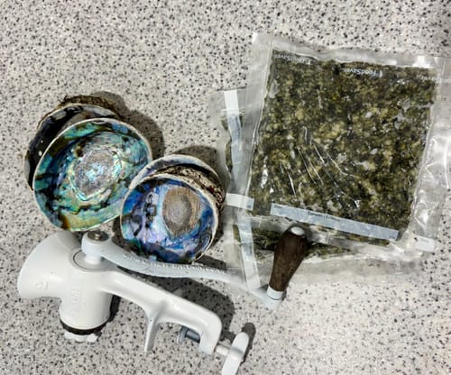 Customer photo review of Frozen NZ Paua