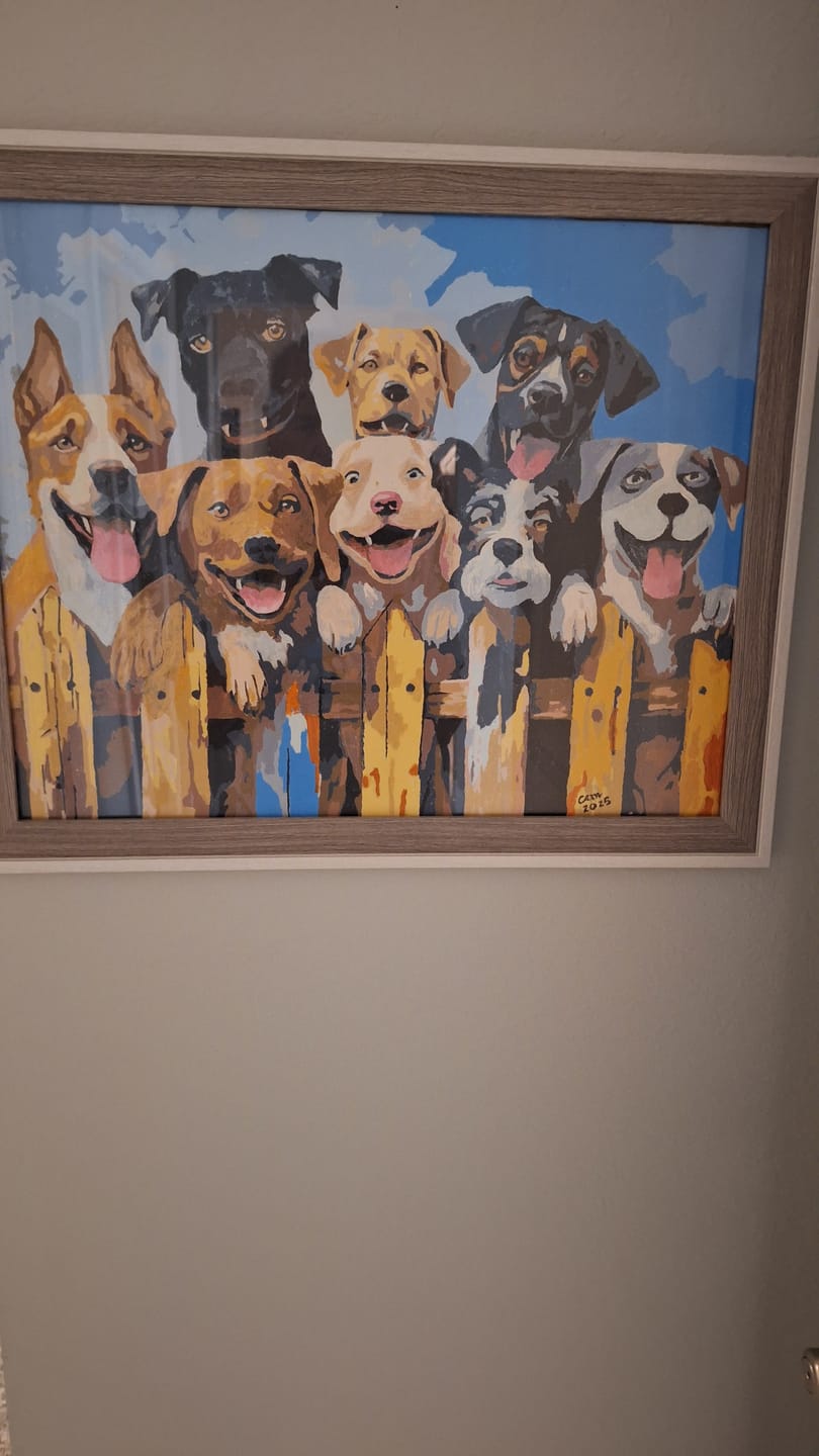 Customer photo review of Dog Days of Summer