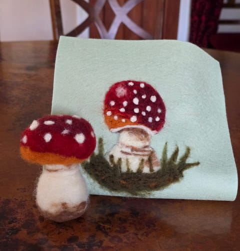 Customer photo review of Sophie Wheatley's Felted Fungi Supplies Box