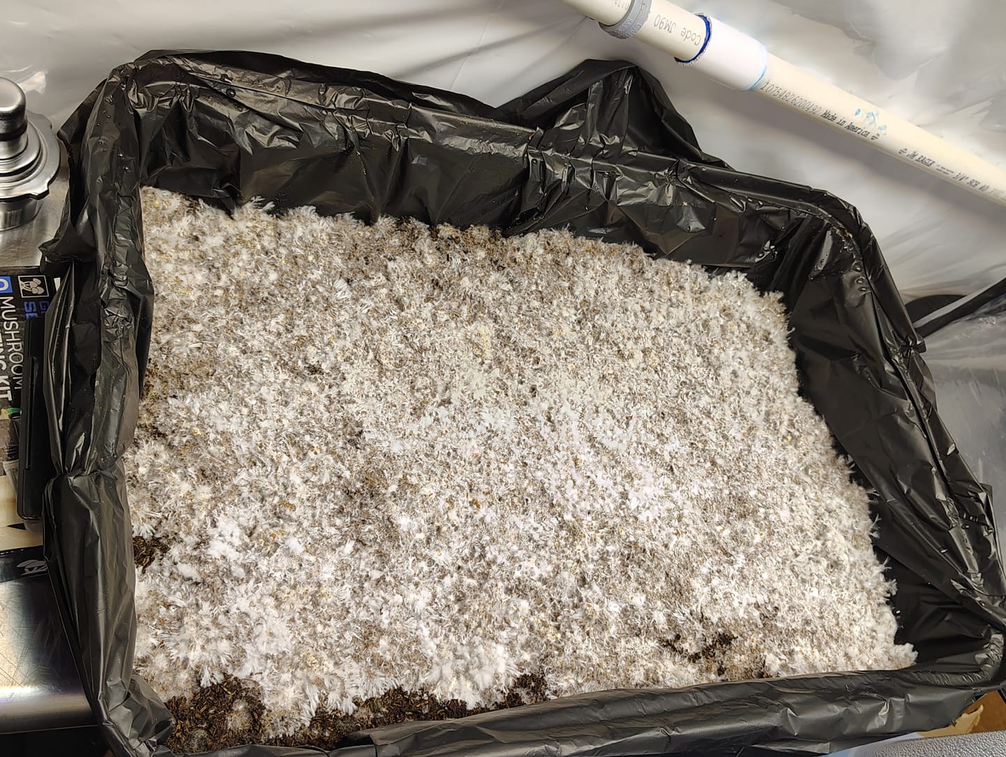 Customer photo review of Large Monotub Accessory Kit