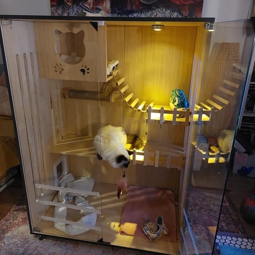 Customer photo review of Luxury Cat Villa-90*60*120