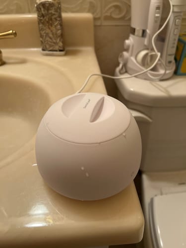 Customer photo review of Dental Pod