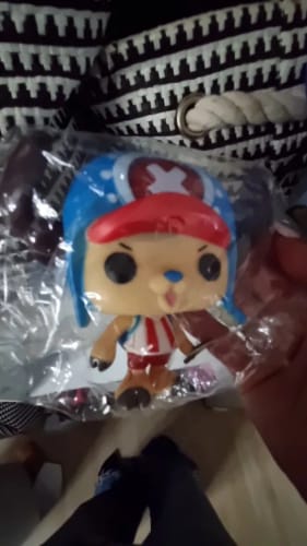 Customer photo review of One Pieces Figure Toy Vinyl PVC Collectible Model