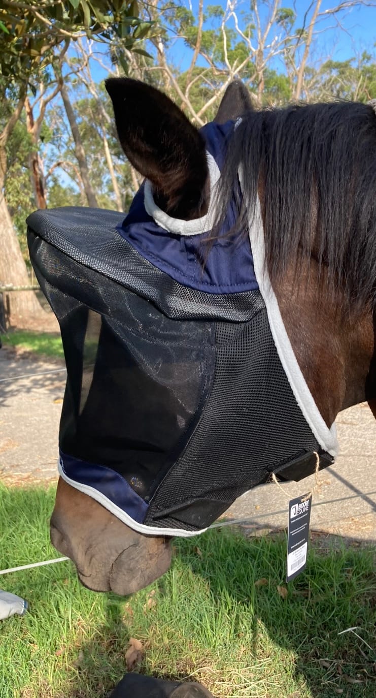 Customer photo review of LE Outback Flymask Original