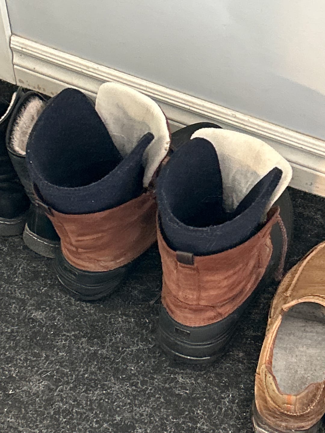 Customer photo review of Wool Felt Replacement Boot Liners (826 BB)