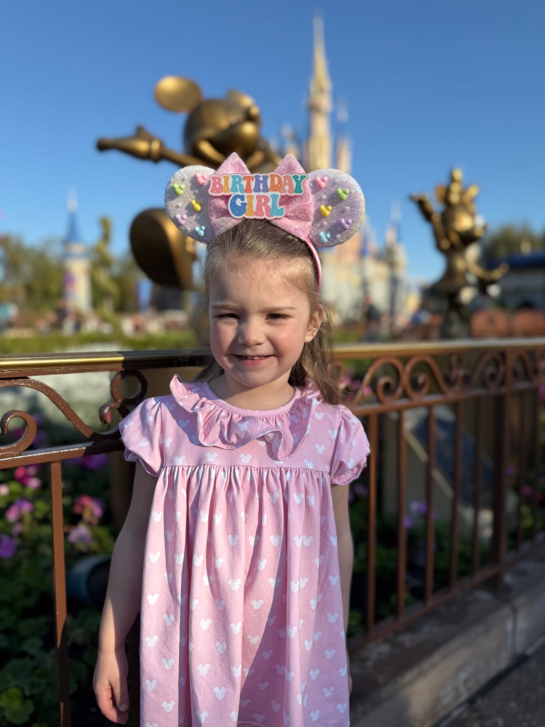 Customer photo review of Birthday Girl Mickey Ears
