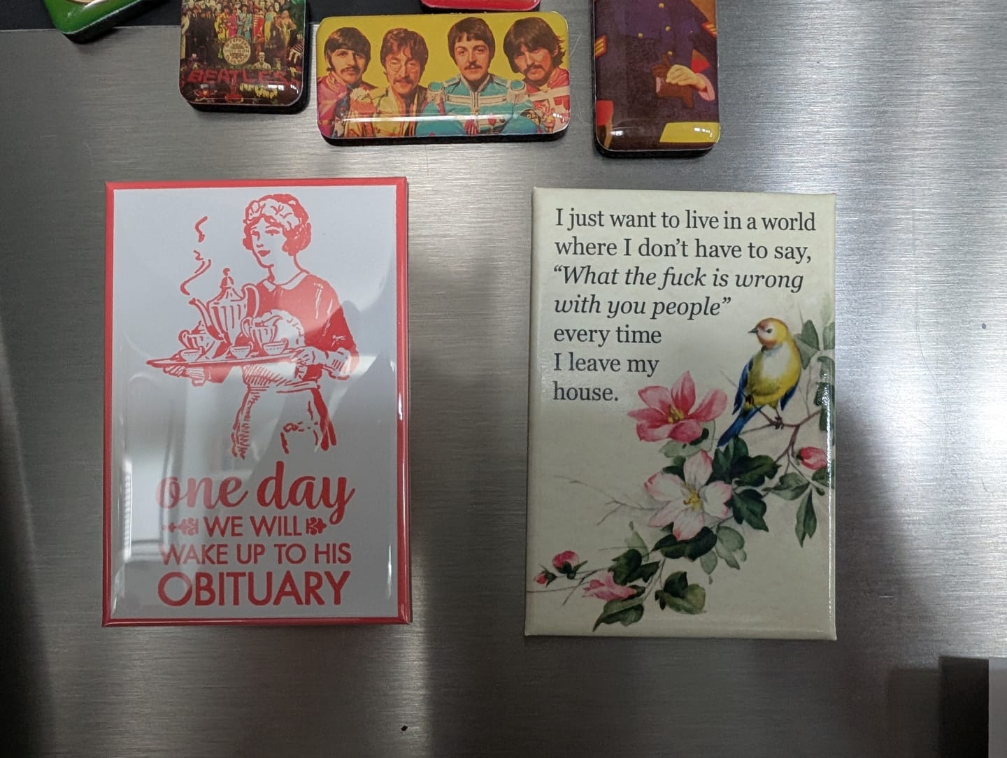 Customer photo review of I Just Want To Live In A World Magnet