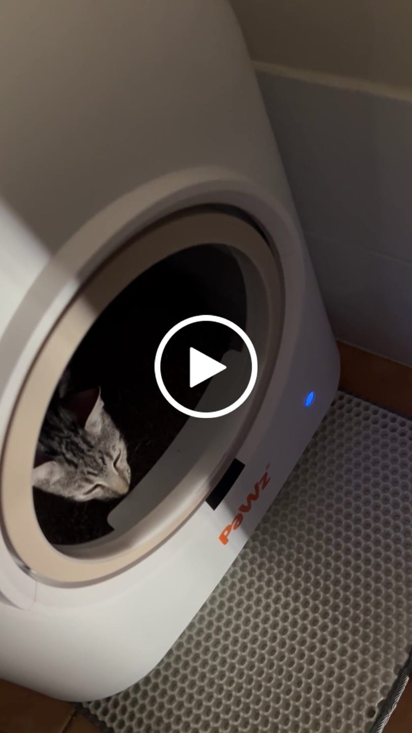 Customer video review of Pawz Smart Cat Litter Box Automatic Self Cleaning with App Remote Control