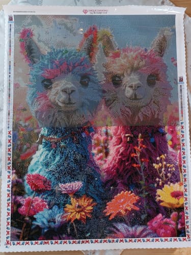 Customer photo review of 5D Diamond Painting AB Steine Rainbow Alpaca Duo mit 100 Farben