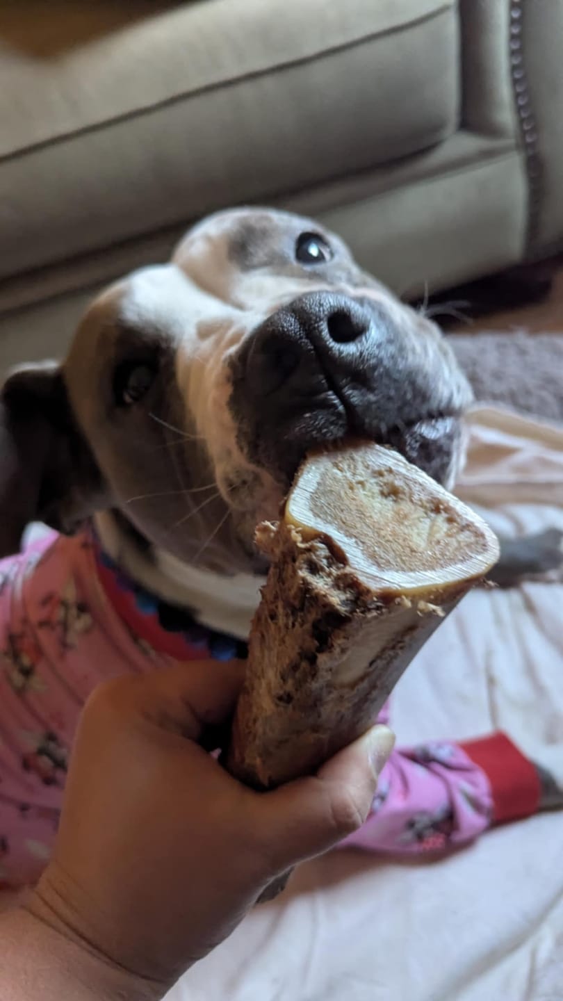 Customer photo review of Smoked Beef Marrow Bones