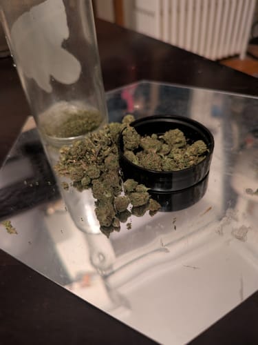 Customer photo review of AK-47 - Greenhouse THCA (Smalls)