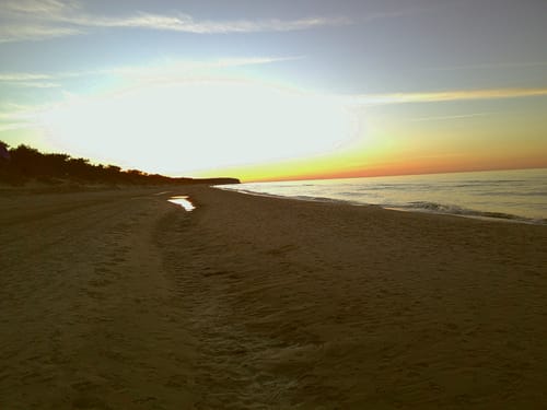 Customer photo review of NUVINT - Digitalkamera