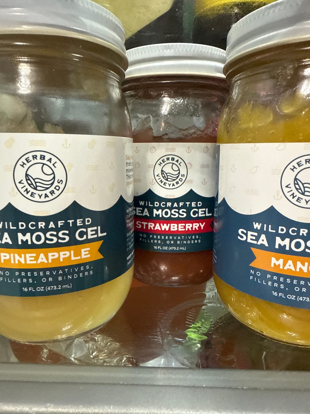 Customer photo review of Flavored Sea Moss Gel Trio Bundle