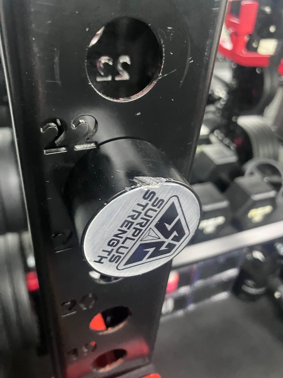 Customer photo review of Speed Pins