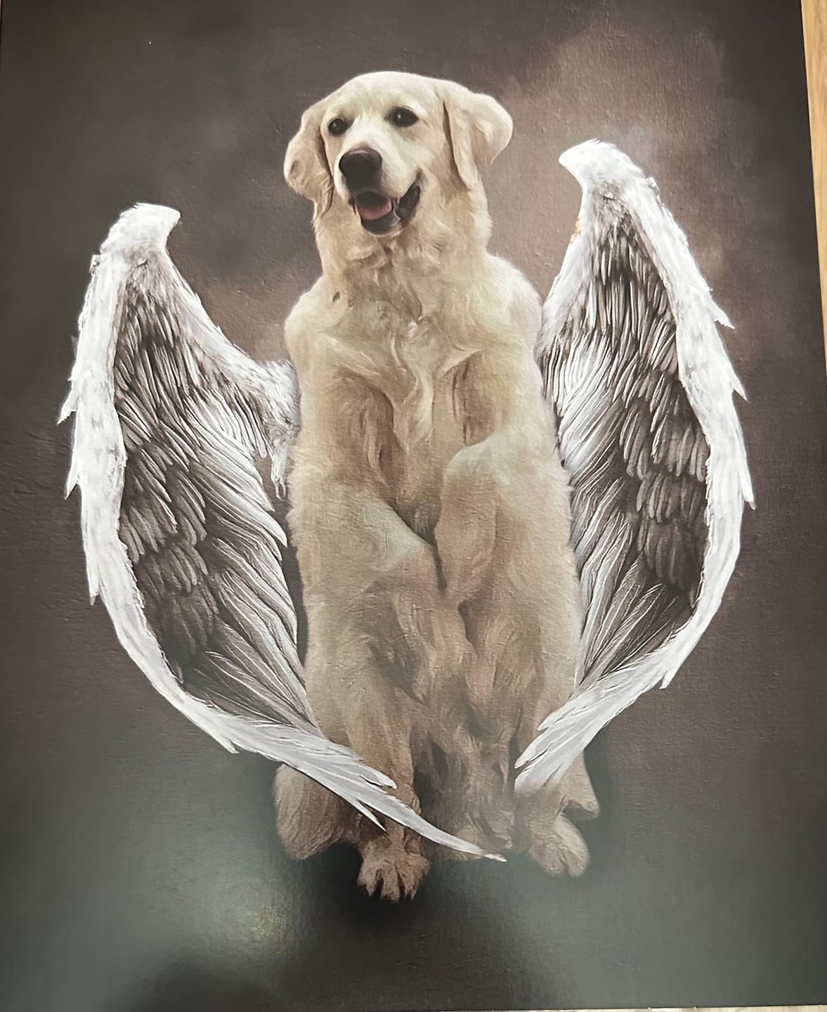 Customer photo review of The Angel Wings Custom Pet Portrait