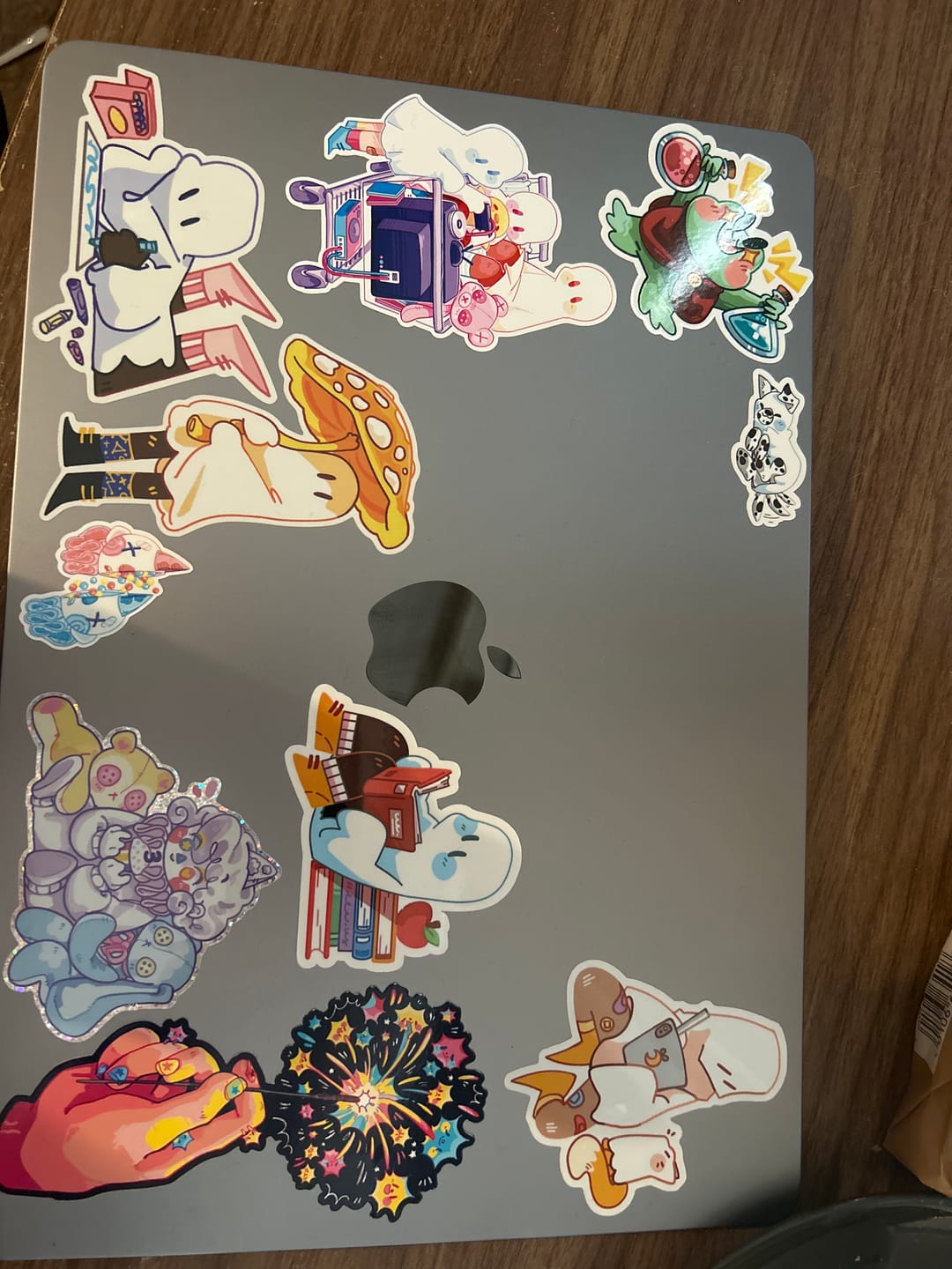 Customer photo review of Sticker Mystery Packs!