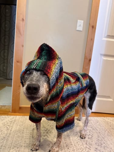 Customer photo review of Playa Poncho - Surprise Color