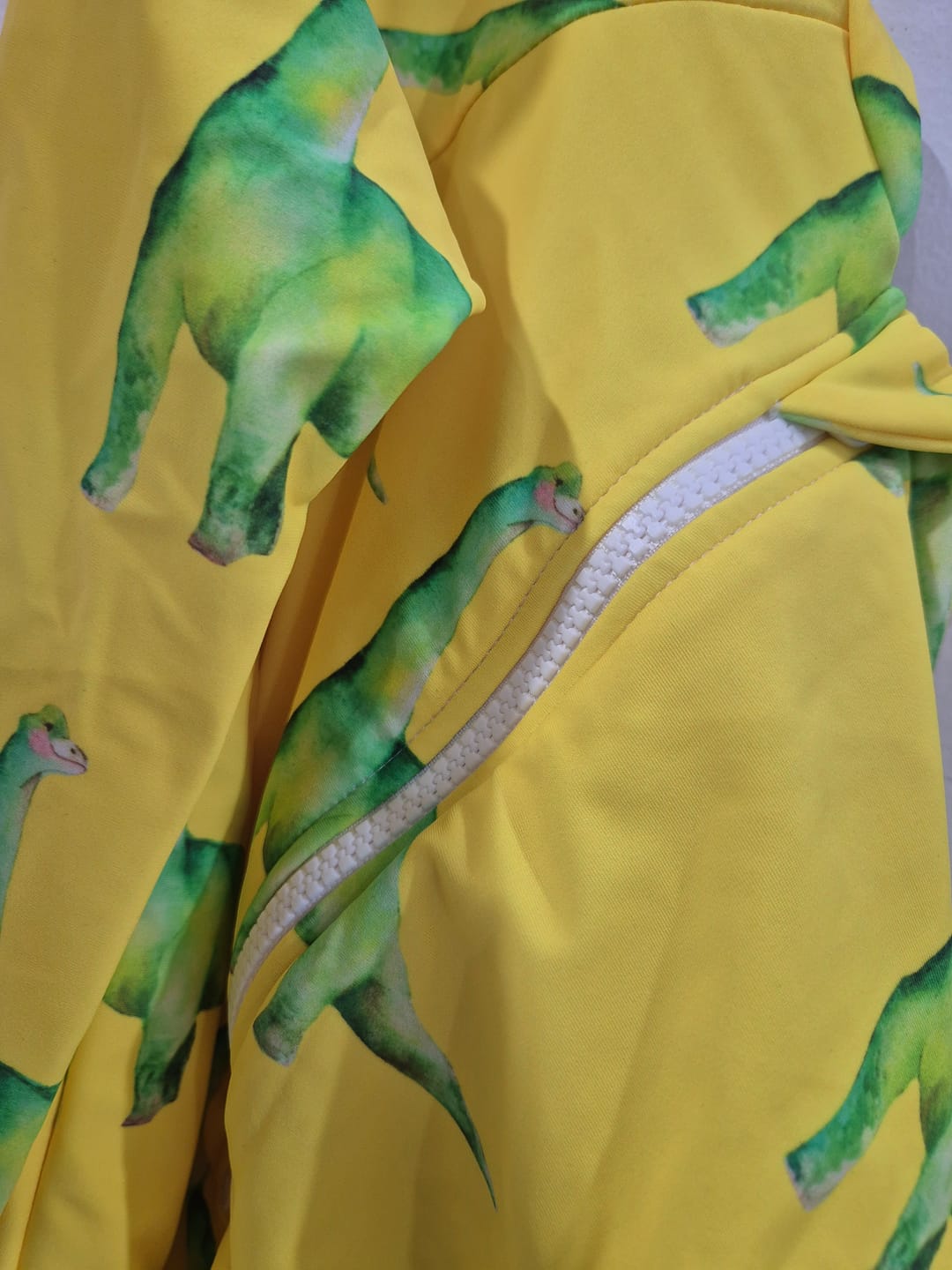 Customer photo review of Fluro Dinosaurs Unisex Long Sleeve Zip Swimmers