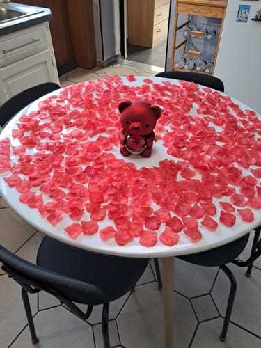 Customer photo review of 500 Pétales de Rose