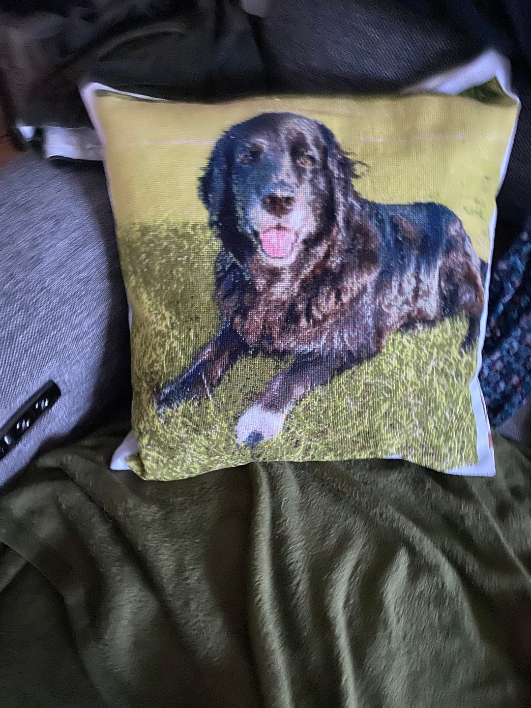 Customer photo review of Custom Cross Stitch Tapestry Kit | Just Upload Your Photo!