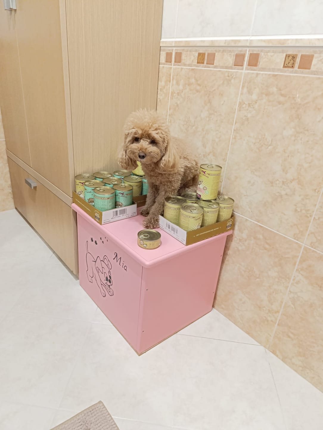 Customer photo review of Terra Canis Classic 400g