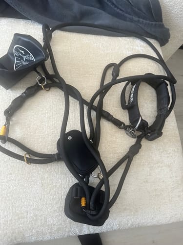 Customer photo review of Trainer Dog Leash - Black