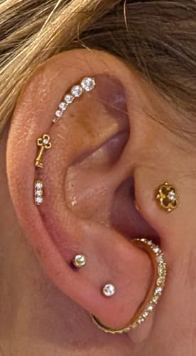 Customer photo review of Pave Elegance Ohrringe 14K Vergoldet