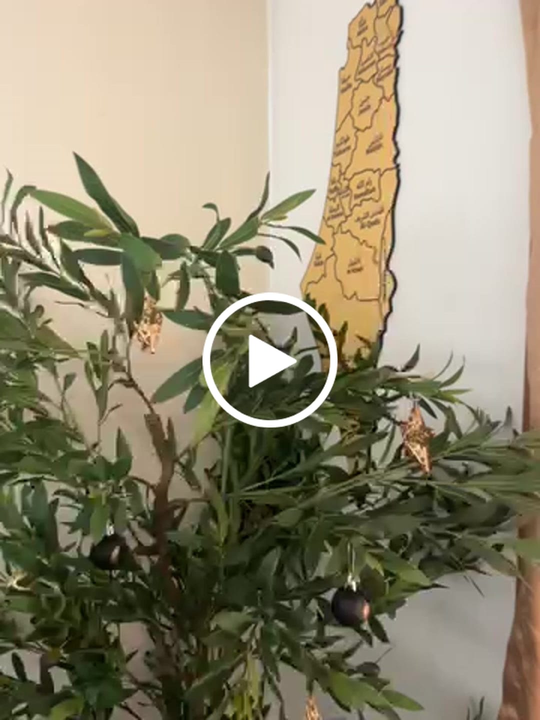 Customer video review of UV Print Palestine Map Wall Decor - Wood/Plexy Shiny Wall Art