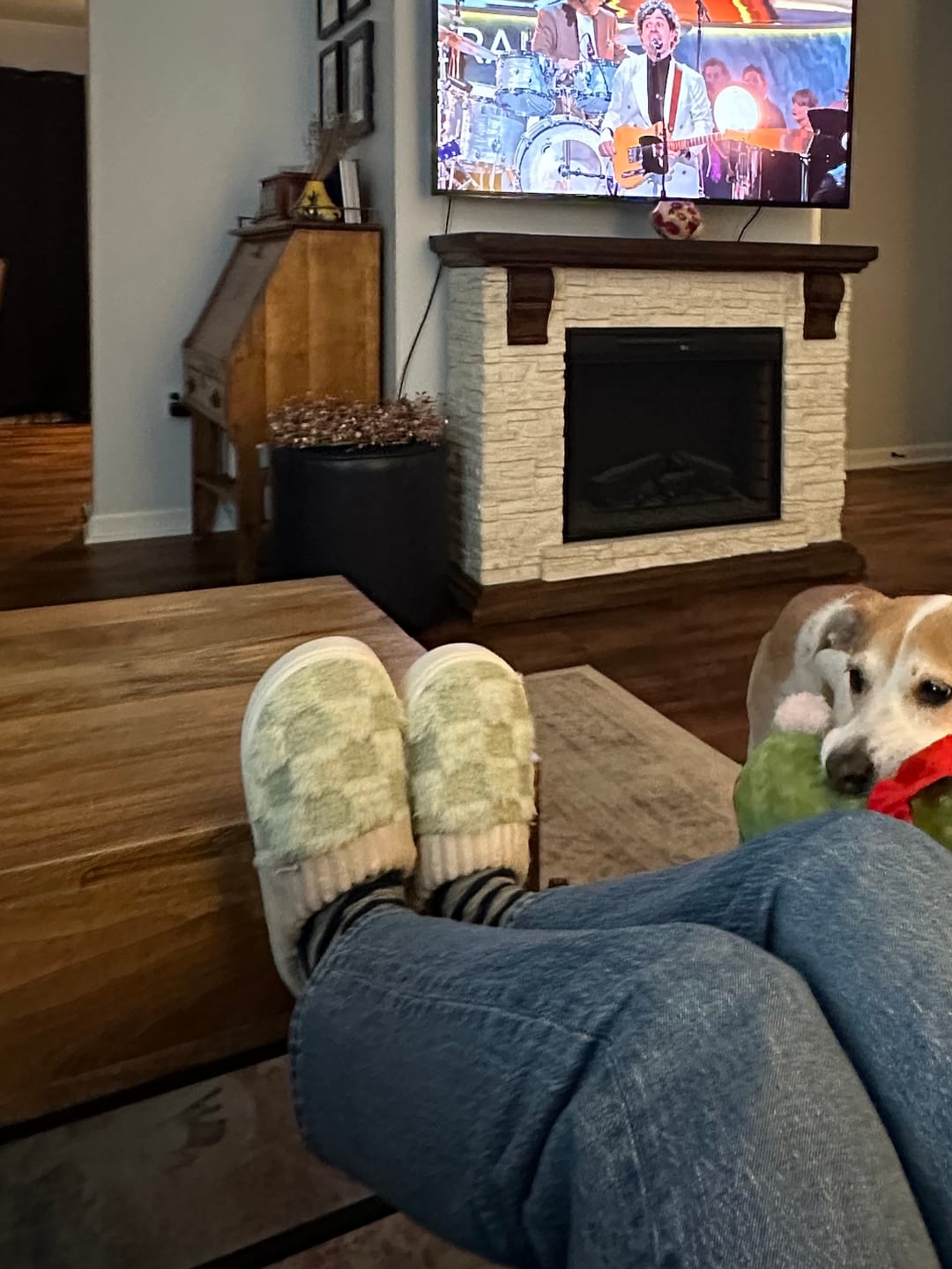 Customer photo review of Nordic Fluffy Slippers