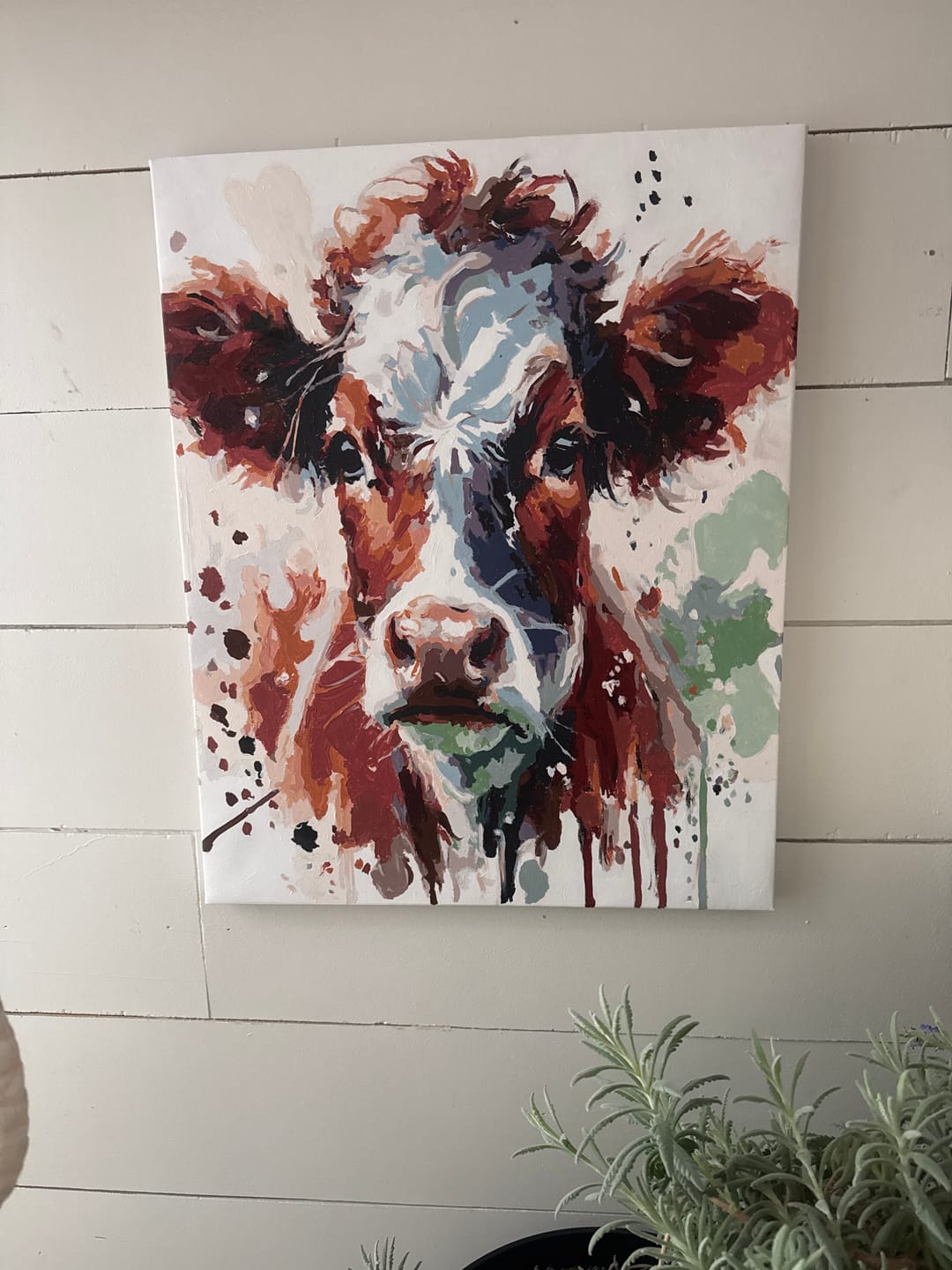 Customer photo review of Paint By Numbers - Portrait of a brown white cow