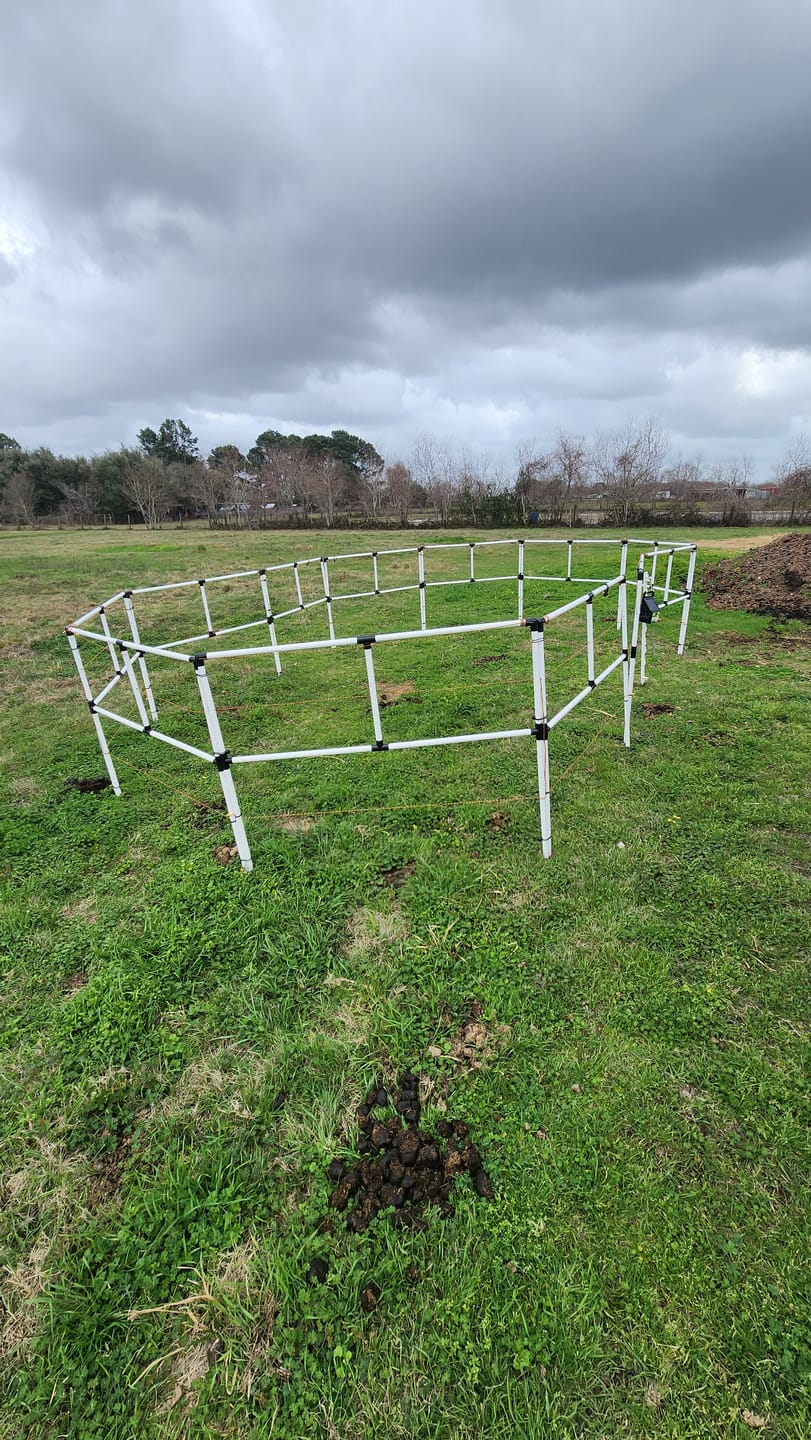 Customer photo review of Ready Made Portable Electric Horse Corral Fencing: (Electric EconoLine 12 Panels; 2 Rails)