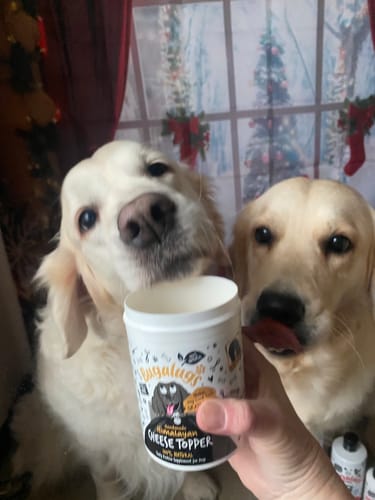 Customer photo review of Himalayan Cheese Topper Natural Protein Supplement for Dogs (200g)