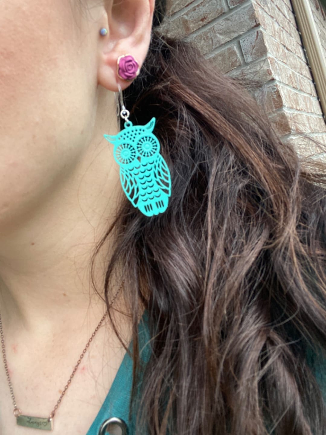 Customer photo review of Owl Dangles Hypoallergenic Earrings for Sensitive Ears Made with Plastic Posts