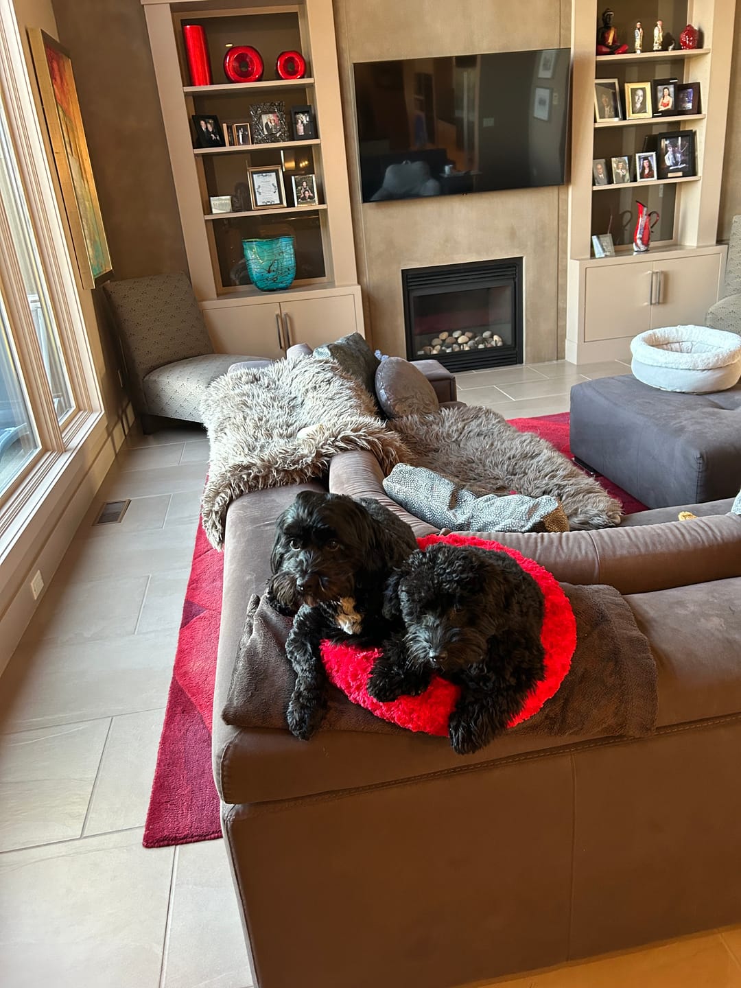Customer photo review of Small Bully Stick Ring