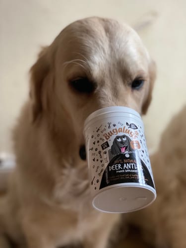 Customer photo review of 100% Natural Deer Antler Supplement Powder for Dogs (200g)