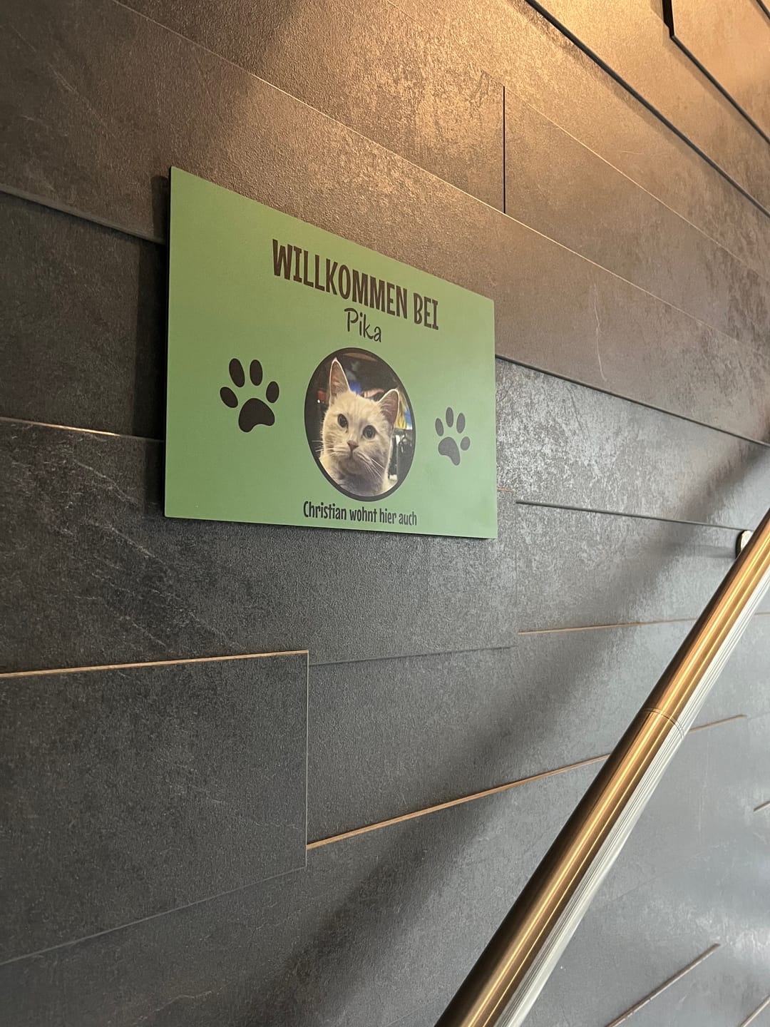 Customer photo review of Spähende Haustiere - Individuelles Türschild